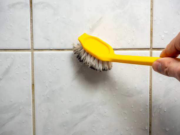 Best Emergency Mold Remediation in San Francisco, CA